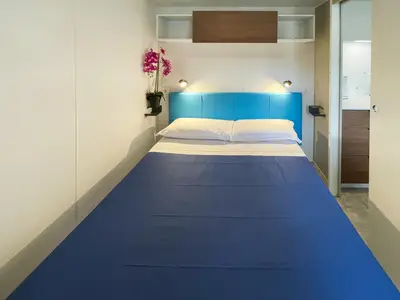 bed bed