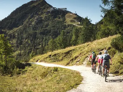 Mountainbiken Radfahren