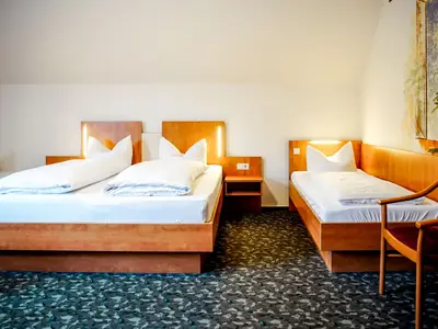 Zimmer für 4 Personen (29 m²) in Winterberg 8/10