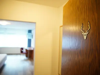 Zimmer für 3 Personen (32 m²) in Winterberg 5/10